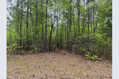 Tbd County Road 2742, Naples, TX 75568 - Photo 26