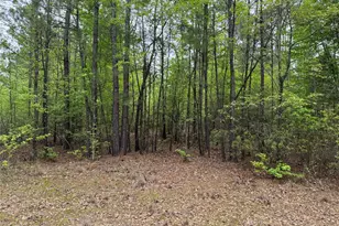 Tbd County Road 2742, Naples, TX 75568 - Photo 26