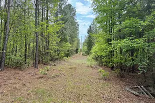 Tbd County Road 2742, Naples, TX 75568 - Photo 16