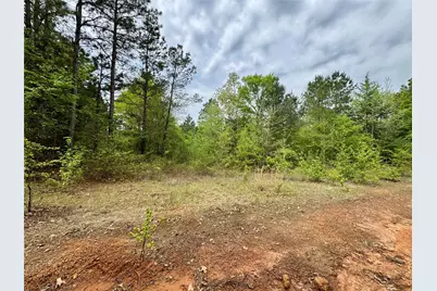 Tbd County Road 2742, Naples, TX 75568 - Photo 8