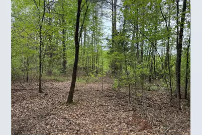 Tbd County Road 2742, Naples, TX 75568 - Photo 24