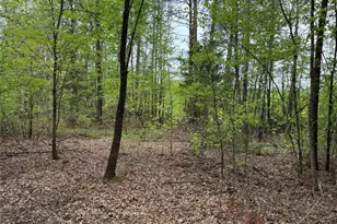 Tbd County Road 2742, Naples, TX 75568 - Photo 24