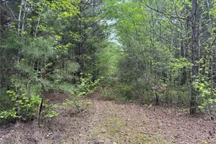 Tbd County Road 2742, Naples, TX 75568 - Photo 22