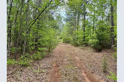 Tbd County Road 2742, Naples, TX 75568 - Photo 2