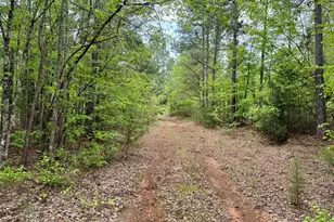 Tbd County Road 2742, Naples, TX 75568 - Photo 2