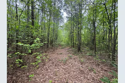 Tbd County Road 2742, Naples, TX 75568 - Photo 18