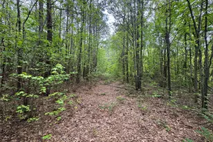 Tbd County Road 2742, Naples, TX 75568 - Photo 18