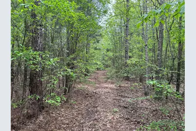 Tbd County Road 2742, Naples, TX 75568 - Photo 20