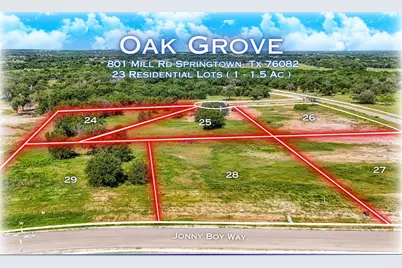 708 Slabs Way, Springtown, TX 76082 - Photo 10