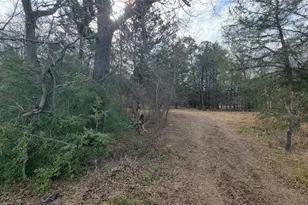 15227 County Road 2370, Streetman, TX 75859 - Photo 4