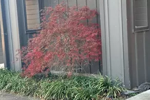 6448 Co Rd 437, Princeton, TX 75407 - Photo 30