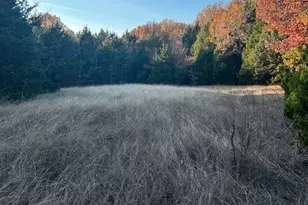 6448 Co Rd 437, Princeton, TX 75407 - Photo 32