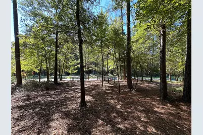 Tbd Holly Trail, Holly Lake Ranch, TX 75765 - Photo 30