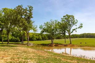 1466 Co Rd 1270, Alvord, TX 76225 - Photo 34