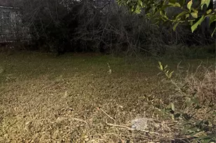 1304 N 22nd, Waco, TX 76707 - Photo 6