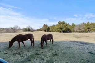 1796 N Anna Cade Rd, Rockwall, TX 75087 - Photo 38
