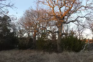 1051 Parker Dairy Rd, Forestburg, TX 76239 - Photo 10