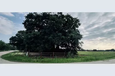 Lot 6 Tbd County Road 1560, Alba, TX 75410 - Photo 10
