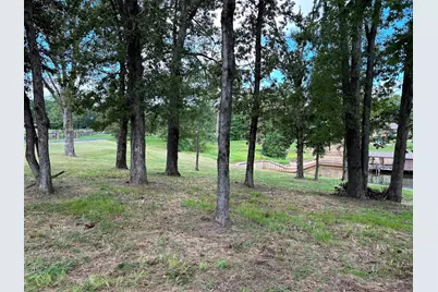 0 Jamison Drive, Chandler, TX 75758 - Photo 6