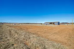 41 Kenzi Dr, Mineral Wells, TX 76067 - Photo 12