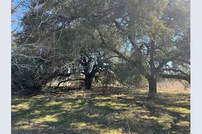 6164 County Road 264, Dublin, TX 76446 - Photo 6