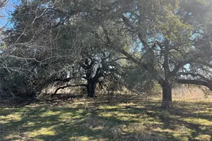 6164 Co Rd 264, Dublin, TX 76446 - Photo 6