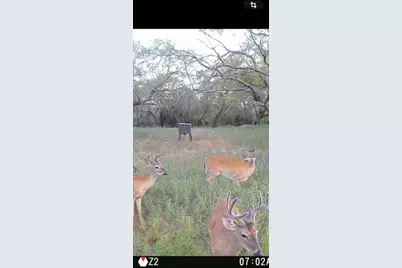 6164 County Road 264, Dublin, TX 76446 - Photo 36