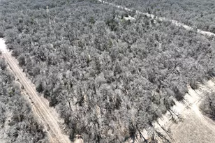 6164 Co Rd 264, Dublin, TX 76446 - Photo 12