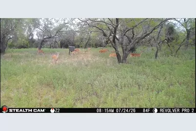 6164 County Road 264, Dublin, TX 76446 - Photo 38