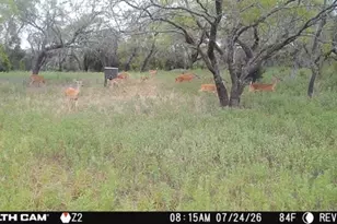 6164 Co Rd 264, Dublin, TX 76446 - Photo 38