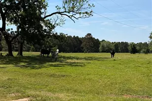 720 Haggerty Rd, Karnack, TX 75661 - Photo 4