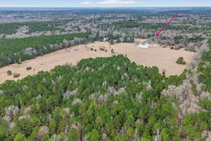 720 Haggerty Rd, Karnack, TX 75661 - Photo 38