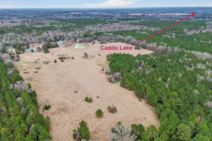 720 Haggerty Rd, Karnack, TX 75661 - Photo 32