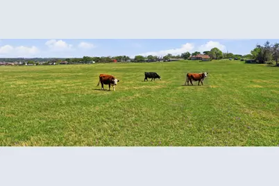 3601 Springfield Road, Springtown, TX 76082 - Photo 38