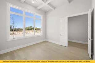 317 Fire Blade Dr, Aledo, TX 76008 - Photo 16