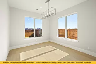 317 Fire Blade Dr, Aledo, TX 76008 - Photo 18