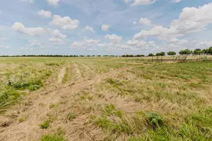 8615 N Fm 51, Decatur, TX 76234 - Photo 6