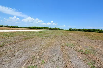 9117 County Road 101A, Grandview, TX 76050 - Photo 4