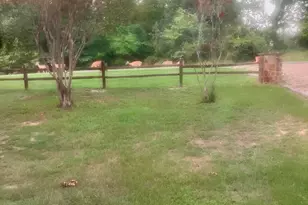 5650 Point Lavista, Malakoff, TX 75148 - Photo 18