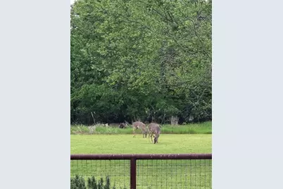 467 Wilderness Trail, Royse City, TX 75189 - Photo 4