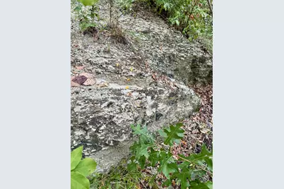 7225 Scyene Road, Dallas, TX 75227 - Photo 8