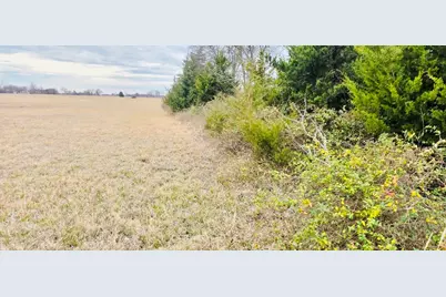 Tbd Fm 196 S, Pattonville, TX 75468 - Photo 1
