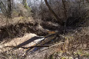 2448 Co Rd 2125, Ivanhoe, TX 75447 - Photo 34