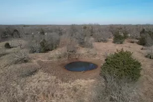 14053 SE Cr 4112, Kerens, TX 75144 - Photo 2