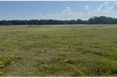 02 County Road 2295, Telephone, TX 75488 - Photo 4