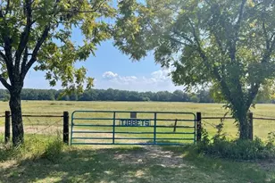 02 County Road 2295, Telephone, TX 75488 - Photo 1