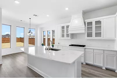 4308 Prickly Pear Avenue, Aubrey, TX 76227 - Photo 12