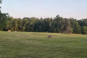 20086 County Rd 299, Arp, TX 75750 - Photo 6