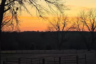 20086 County Rd 299, Arp, TX 75750 - Photo 10