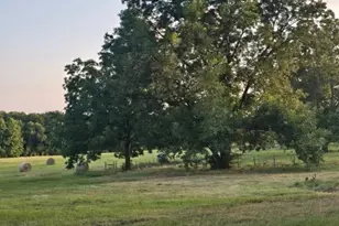 20086 County Rd 299, Arp, TX 75750 - Photo 2